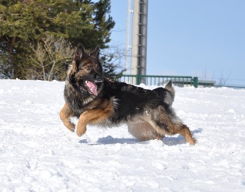 jazzy 16.02.2012 - 14302