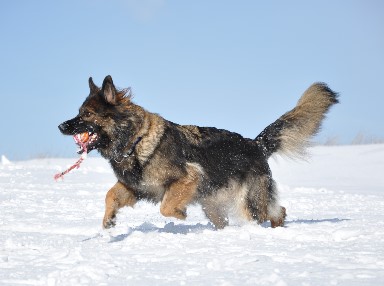 jazzy 16.02.2012 - 7802