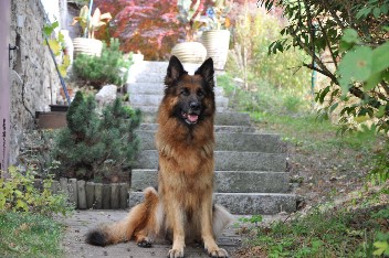 kaja 18.10.2012 - 19