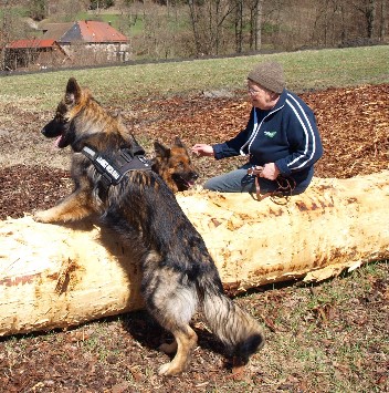 kaja und Django1april 2013