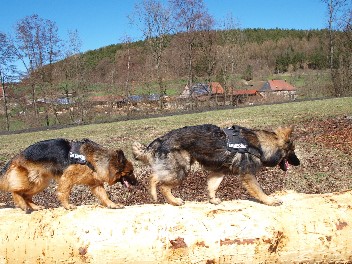 kaja und Djangoapril 2013