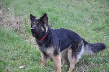 kira 15.04.2012 - 6