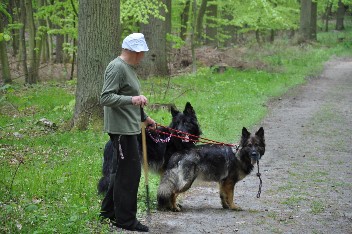 klaus asko jazzy 28.05.2012 - 8