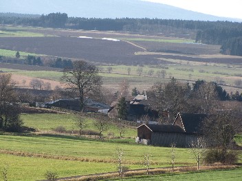 landschaft bei uns - 37