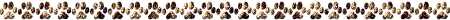 linie0026204