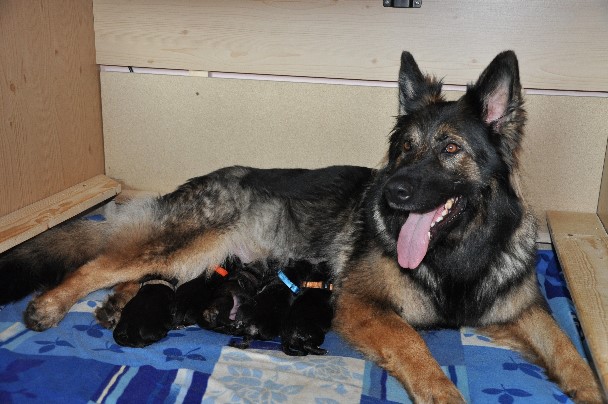 mama jazzy 19.04.2011 - 42