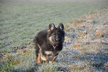 ronja 14.03.2014 - 13