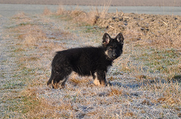 ronja 14.03.2014 - 14