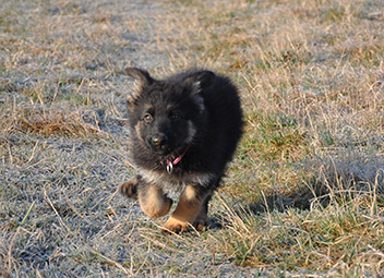 ronja 14.03.2014 - 23