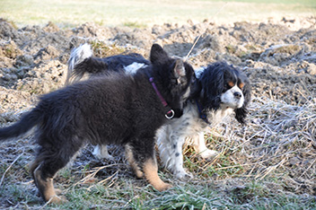 ronja 14.03.2014 - 52