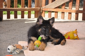 ronja 30.03.2014 - 30