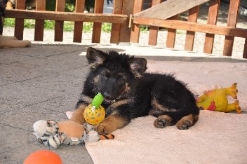 ronja 30.03.2014 - 32