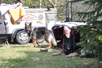 urlaub mai 2012 asko + jazzy - 2