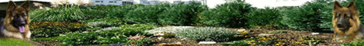 von+fenjas+garden04