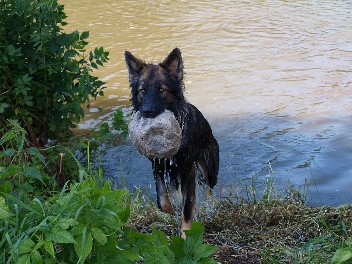 wasser1 django juli 2013